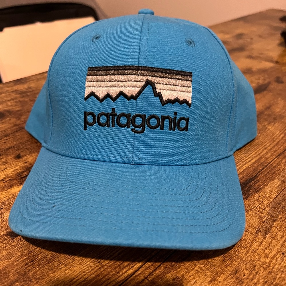 Light blue Patagonia hat